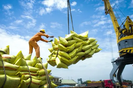 Việt Nam tiếp tục phát huy lợi thế xuất khẩu gạo