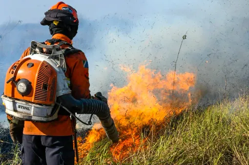 Thế giới chưa sẵn sàng cho cháy rừng do biến đổi khí hậu