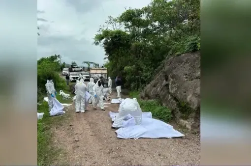 Phát hiện 19 thi thể trong một xe tải tại Mexico