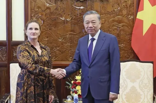 Chủ tịch nước Tô Lâm tiếp Đại sứ New Zealand