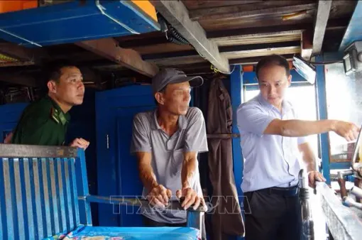 Khởi tố vụ án tàu cá Việt Nam sang vùng biển nước ngoài khai thác trái phép