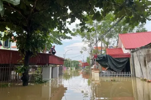 Ninh Bình dừng di dời người dân do lũ trên sông Hoàng Long đang xuống