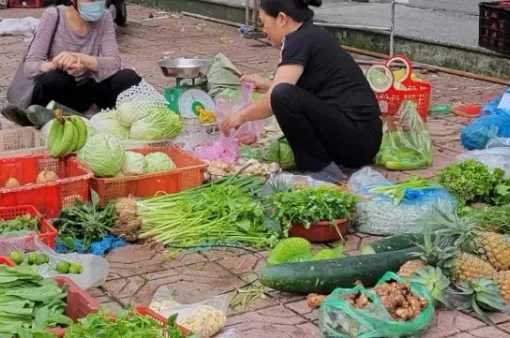 Rau xanh tăng giá do nguồn cung đứt gãy