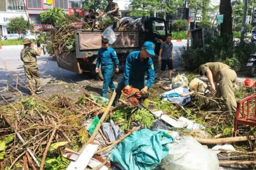 Hà Nội: Hoàn thành thu dọn cây xanh gãy, đổ ở các quận nội thành trước 20/9