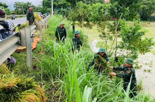 Chính phủ ban hành 6 nhóm nhiệm vụ, giải pháp trọng tâm khắc phục hậu quả bão số 3, khôi phục sản xuất kinh doanh