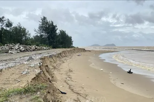 Sạt lở nghiêm trọng tại bờ biển Xuân Hội, Hà Tĩnh