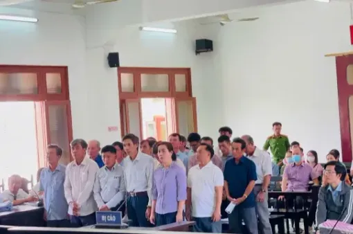 Phú Yên: Vi phạm đất đai, cựu chủ tịch huyện và nhiều cán bộ bị tuyên án