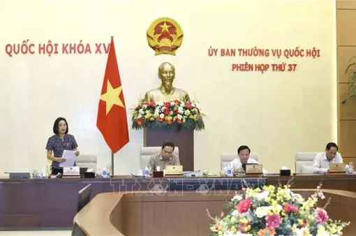 Phòng, chống tham nhũng, tiêu cực thông qua hoạt động kiểm toán