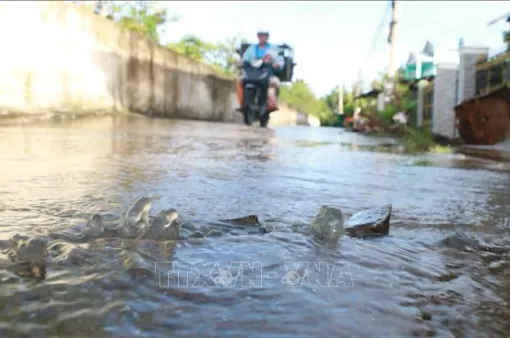 Đẩy mạnh ứng phó ngập lụt trước đợt triều cường cao