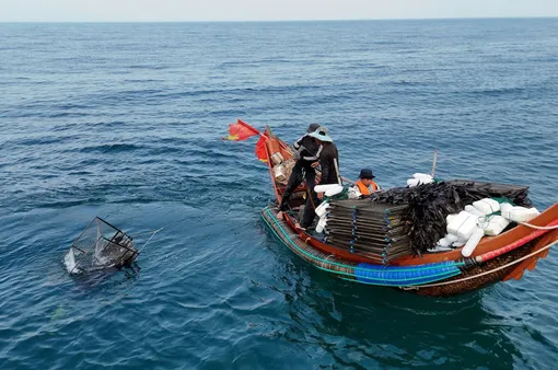 Độc đáo nghề bẫy mực lá của ngư dân bãi ngang
