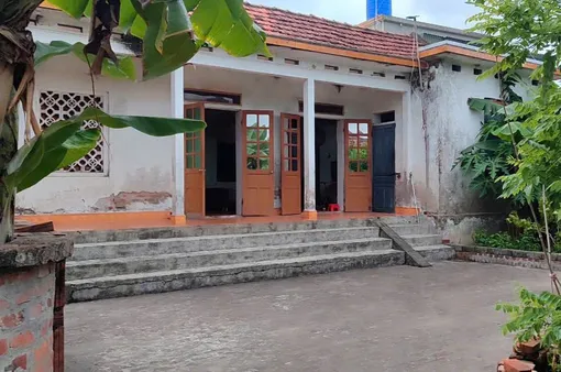 Thiên thần nhỏ và khát khao được chữa lành trái tim lỗi nhịp