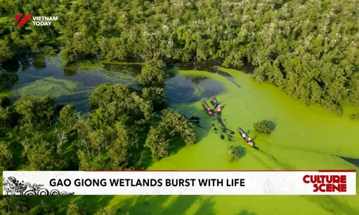 Gao Giong wetlands burst with life