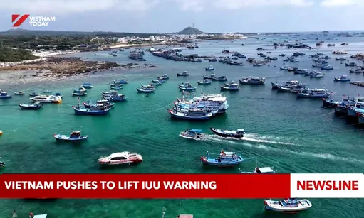 Vietnam pushes to lift IUU warning