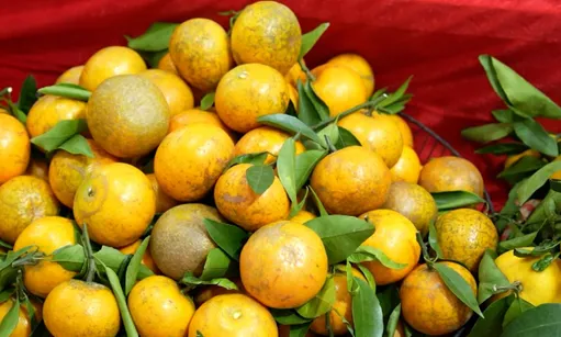 Bac Ninh fruit festival 2025