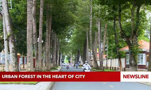 Urban forest in the heart of city