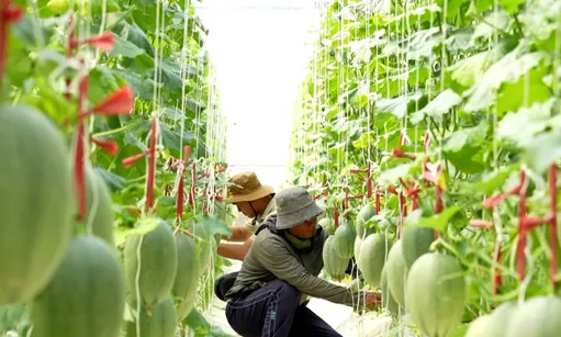 Boosting sustainable farming in dry regions