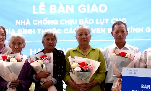 International cooperation for sustainable resilience