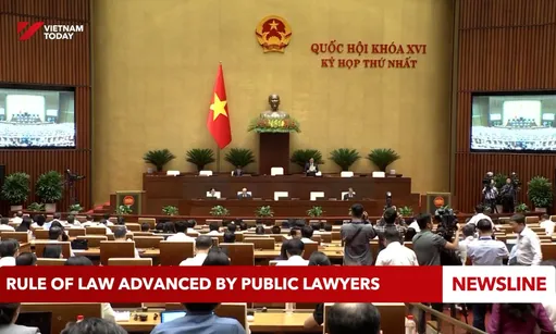 Rule of law advanced by public lawyers