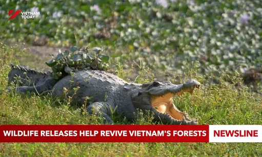 Wildlife releases help revive Việt Nam's forests