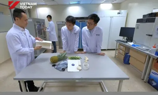 Overseas experts back Việt Nam’s innovation vision