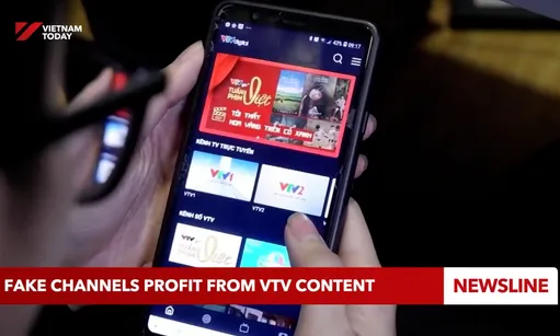 Fake channels profit from VTV content