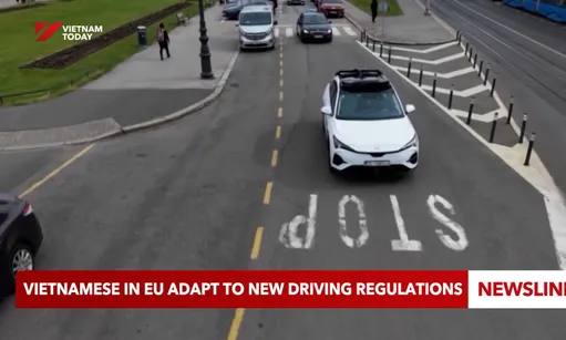 Vietnamese in EU adapt to new driving regulations