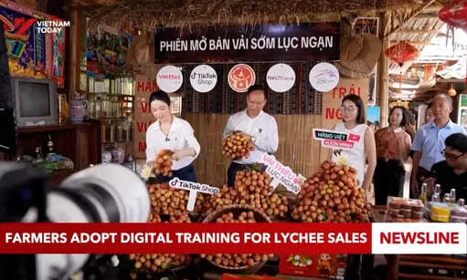 Farmers adopt digital training for lychee sales