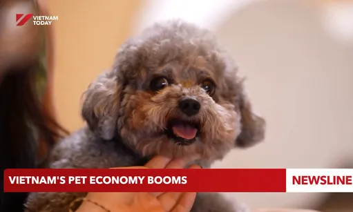 Việt Nam's pet economy booms
