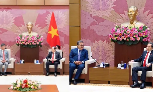 Viet Nam strengthens ties with India, Palestine