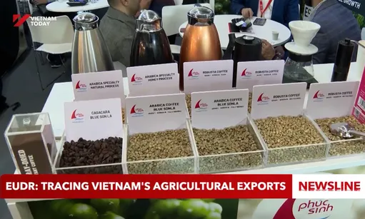 EUDR: Tracing Việt Nam's agricultural exports