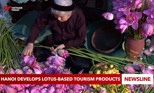 Hà Nội develops lotus-based tourism products