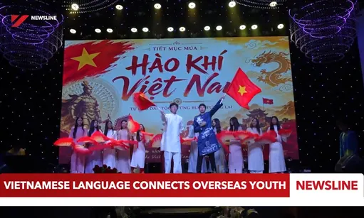 Vietnamese language connects overseas youth