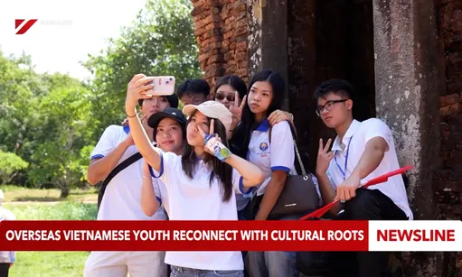 Overseas Vietnamese youth reconnect with cultural roots