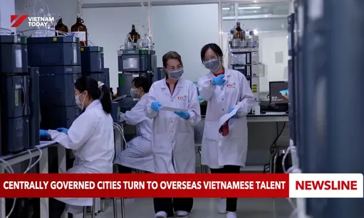 Centrally governed cities turn to overseas Vietnamese talent
