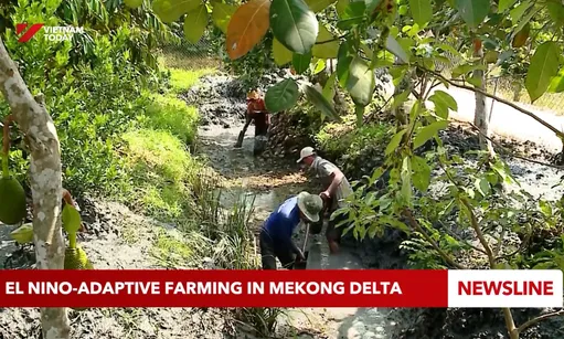 El Niño-adaptive farming in Mekong Delta