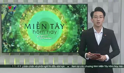 Miền Tây hôm nay trưa - 29/7/2024