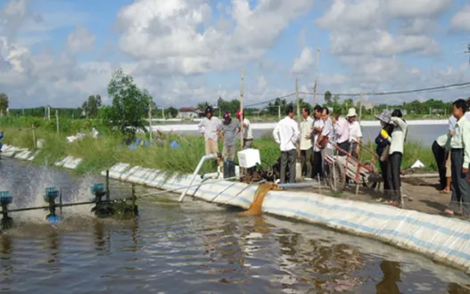 Thủy sản bị ảnh hưởng nặng bởi hạn, mặn