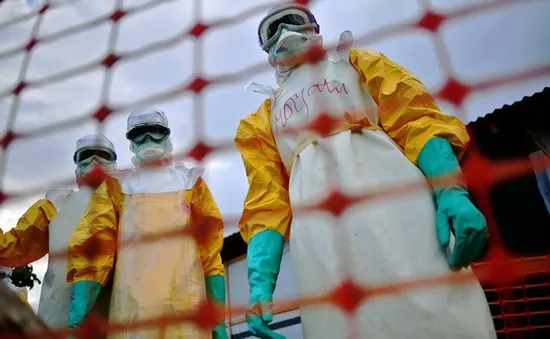 Sierra Leone đóng cửa quốc gia để đối phó với Ebola