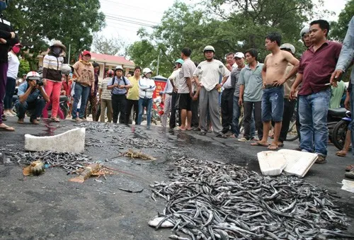 Dân đổ cá ra đường phản đối doanh nghiệp gây ô nhiễm