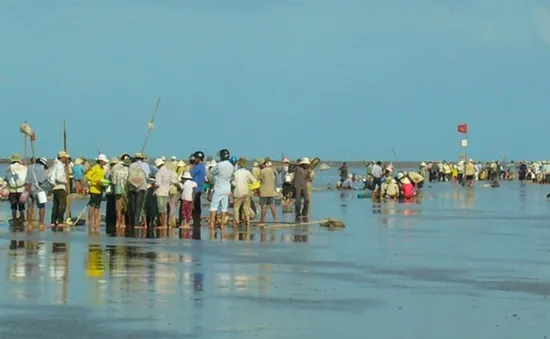 Bạc Liêu: Hàng trăm người tham gia cướp phá bãi nghêu