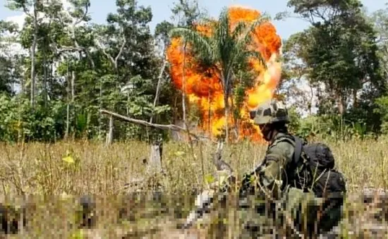 Colombia: Giao tranh ác liệt giữa quân Chính phủ và FARC