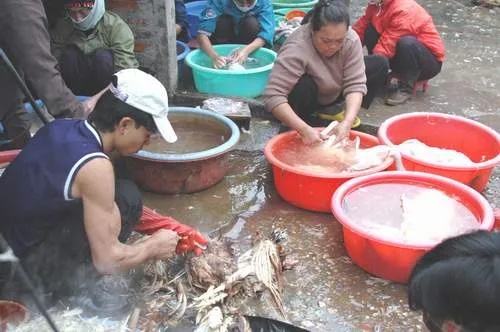 Hà Nội: Kiểm tra kinh doanh, giết mổ gia súc, gia cầm cận Tết