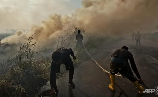 Indonesia công bố 240 nghi phạm gây cháy rừng