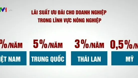 Chăn nuôi Việt Nam khó cạnh tranh vì lãi suất cao