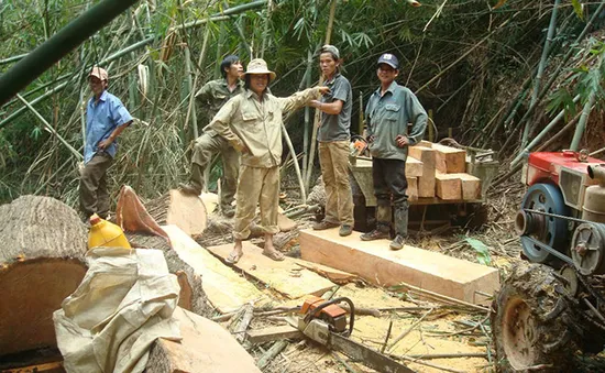 Lâm tặc hoành hành tại vùng giáp ranh Tây Nguyên