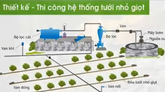 Tham khảo công nghệ sản xuất mía của Israel