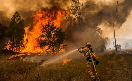 Cháy rừng dữ dội tại bang California, hàng trăm người phải sơ tán