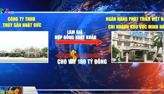 Bắt giam đại gia thủy sản Cà Mau lừa đảo 250 tỷ đồng