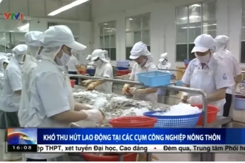 Phú Yên: Thiếu lao động trầm trọng tại các cụm CN vùng nông thôn