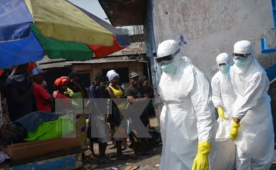 Số ca nhiễm mới Ebola tại Tây Phi tăng nhanh trở lại